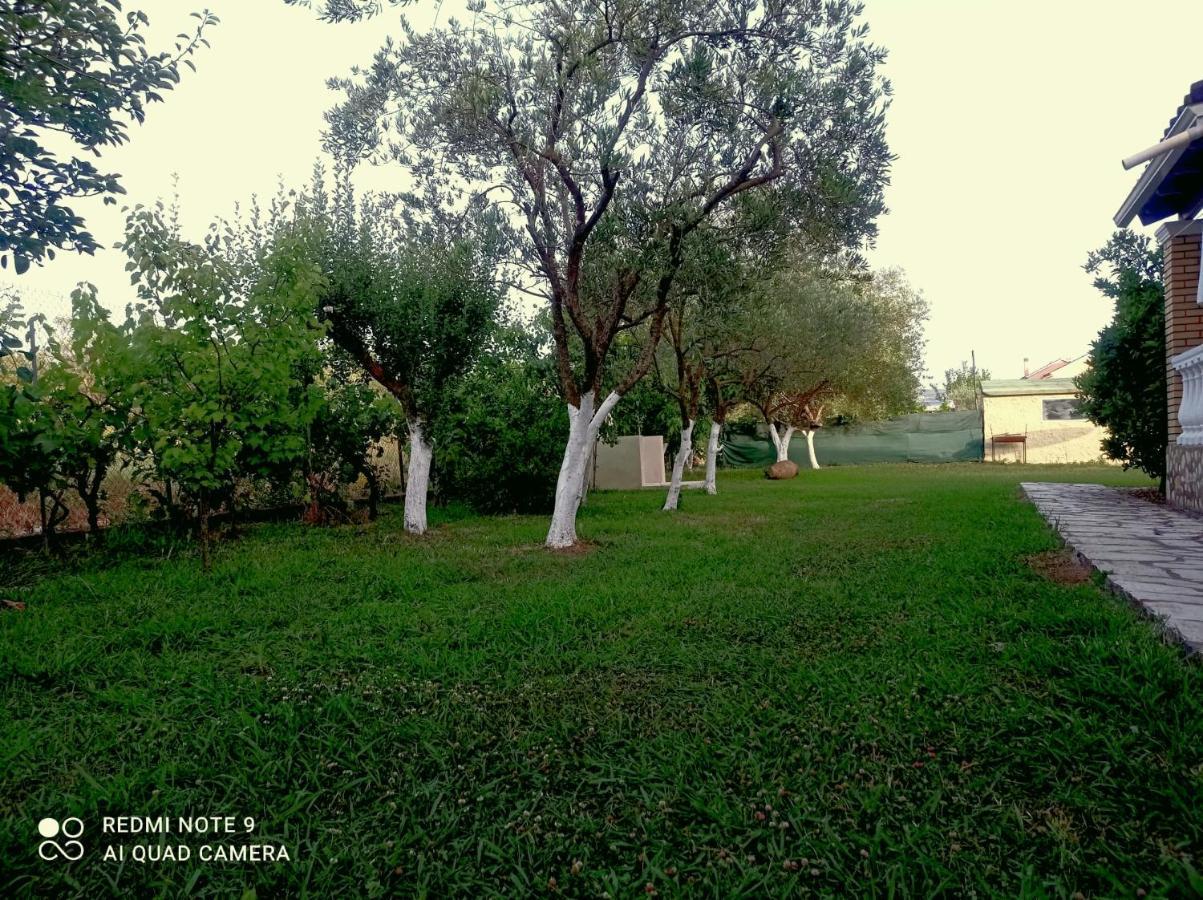 Apartment Yannis 1 Roda (Corfu)